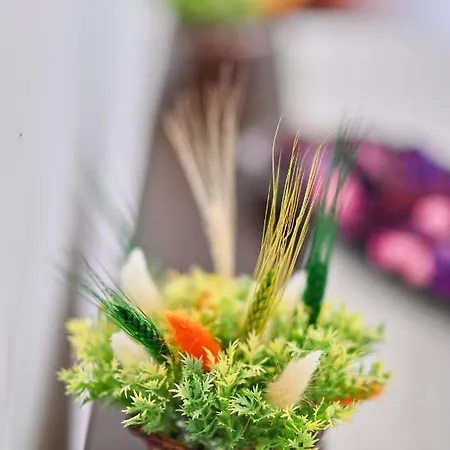 Moon Sea View - N Pools